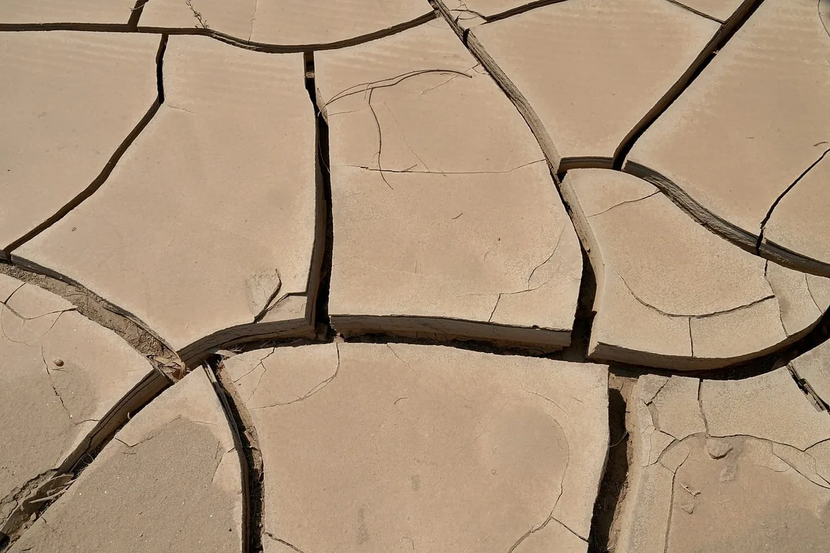 Dry, cracked earth under strong sun