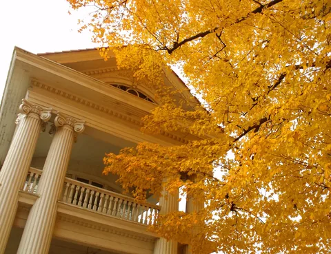 Autumn leaves outside a house in fall