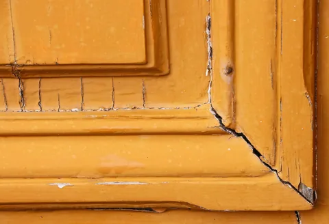 A gap around a door frame where pests enter