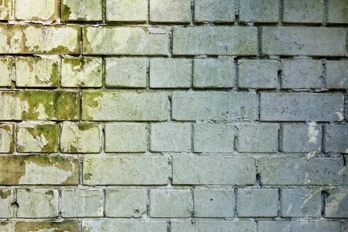 A weathered brick wall affected by damp
