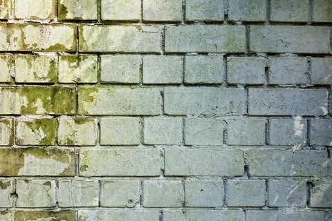 A damp, weathered wall