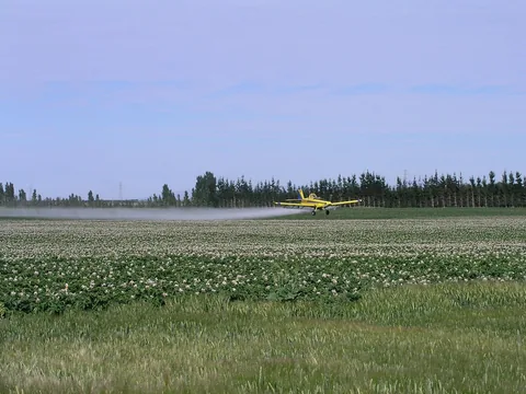 A field being treated with insecticide