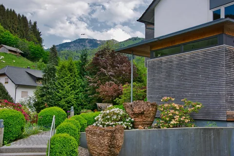 Fresh green growth in a spring garden