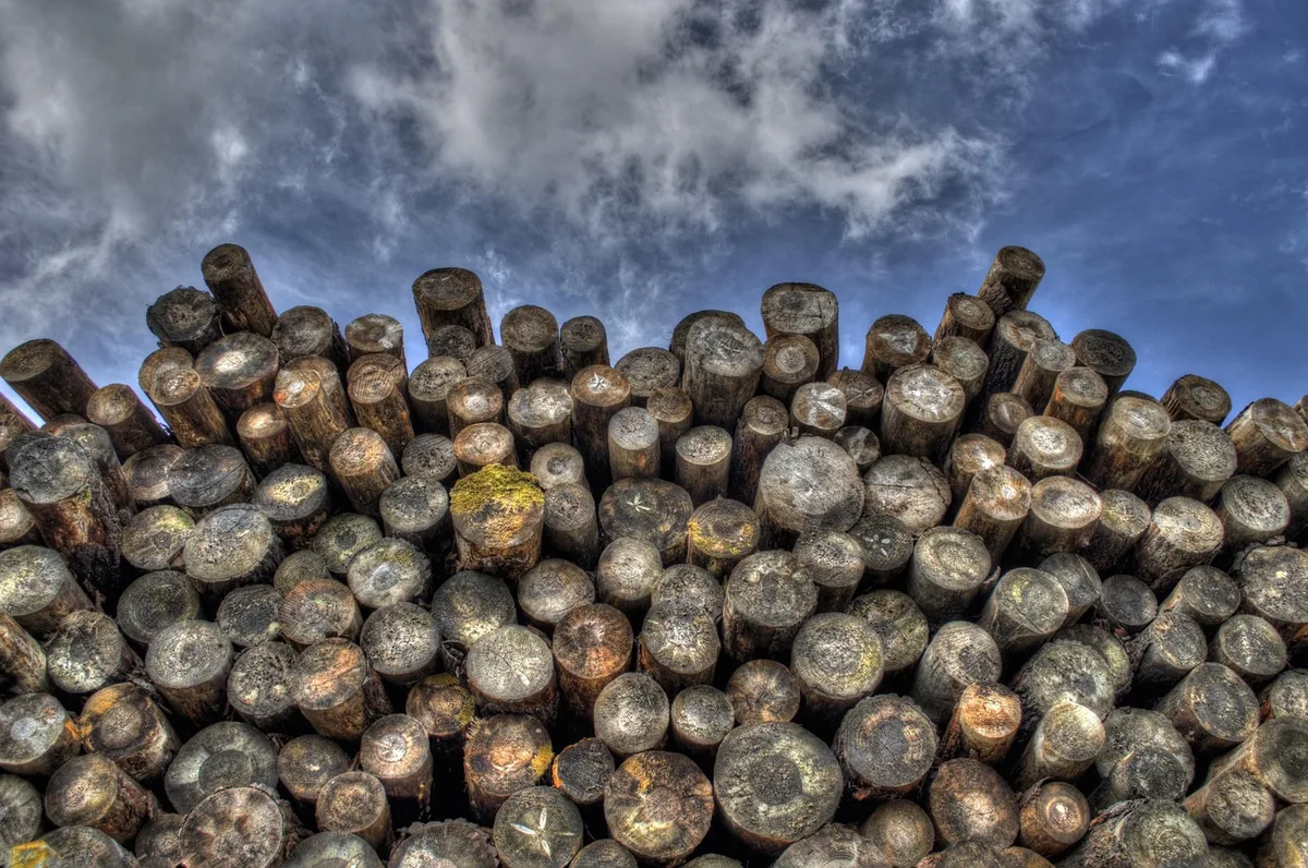 A stack of firewood logs outdoors