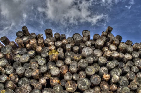 A stack of firewood logs outdoors