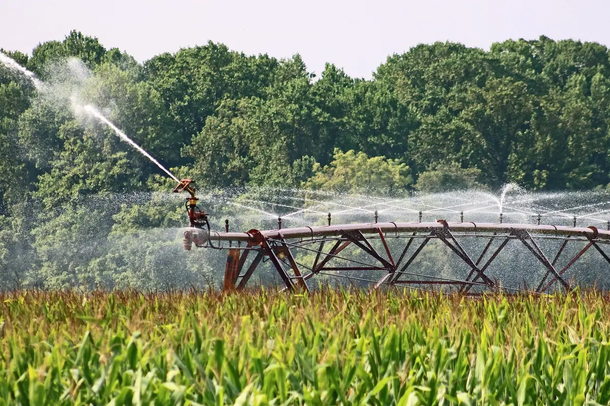 An irrigation sprayer running across a green farm field